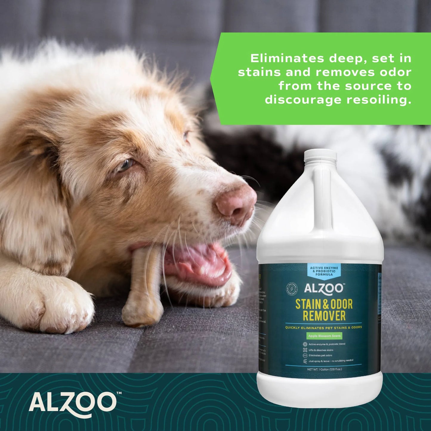 ALZOO Enzymatic Stain & Odor Remover Apple Blossom, 32oz