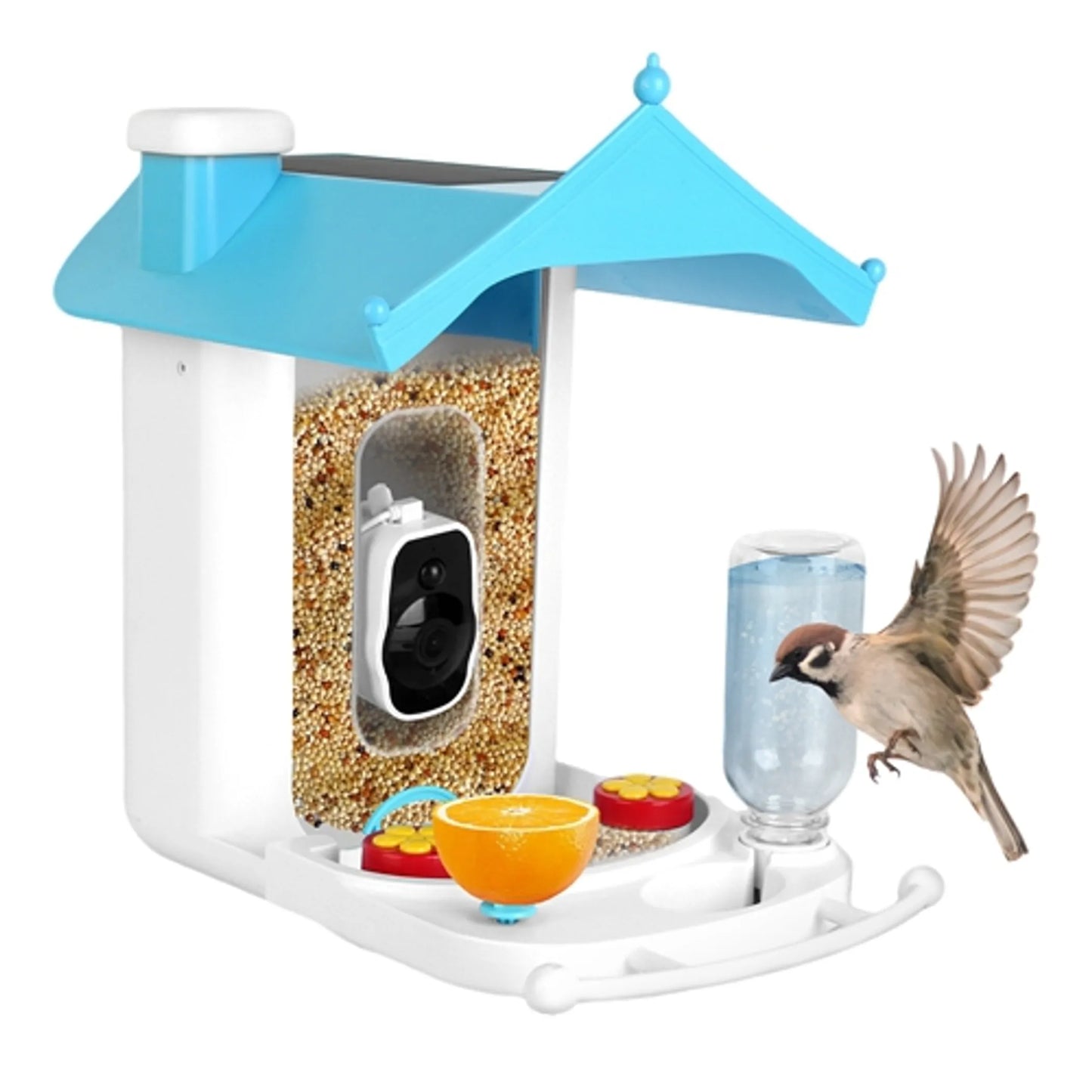 Solar Powered Smart Bird Feeder